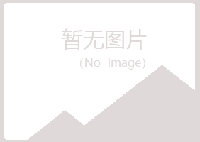 日照岚山易梦水泥有限公司